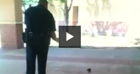 Baby Squirrel Pepper Sprayed By Police Officer