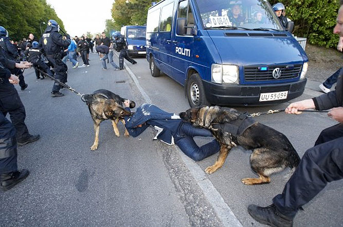 police-dog-attack-denmark.jpg