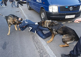 Aggressive Police Dogs Attack Soccer Fans In Denmark