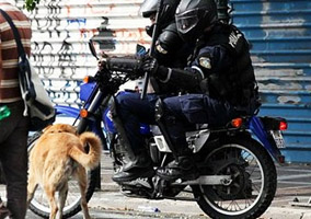 Greek Police Tried To Kill Riot Dog